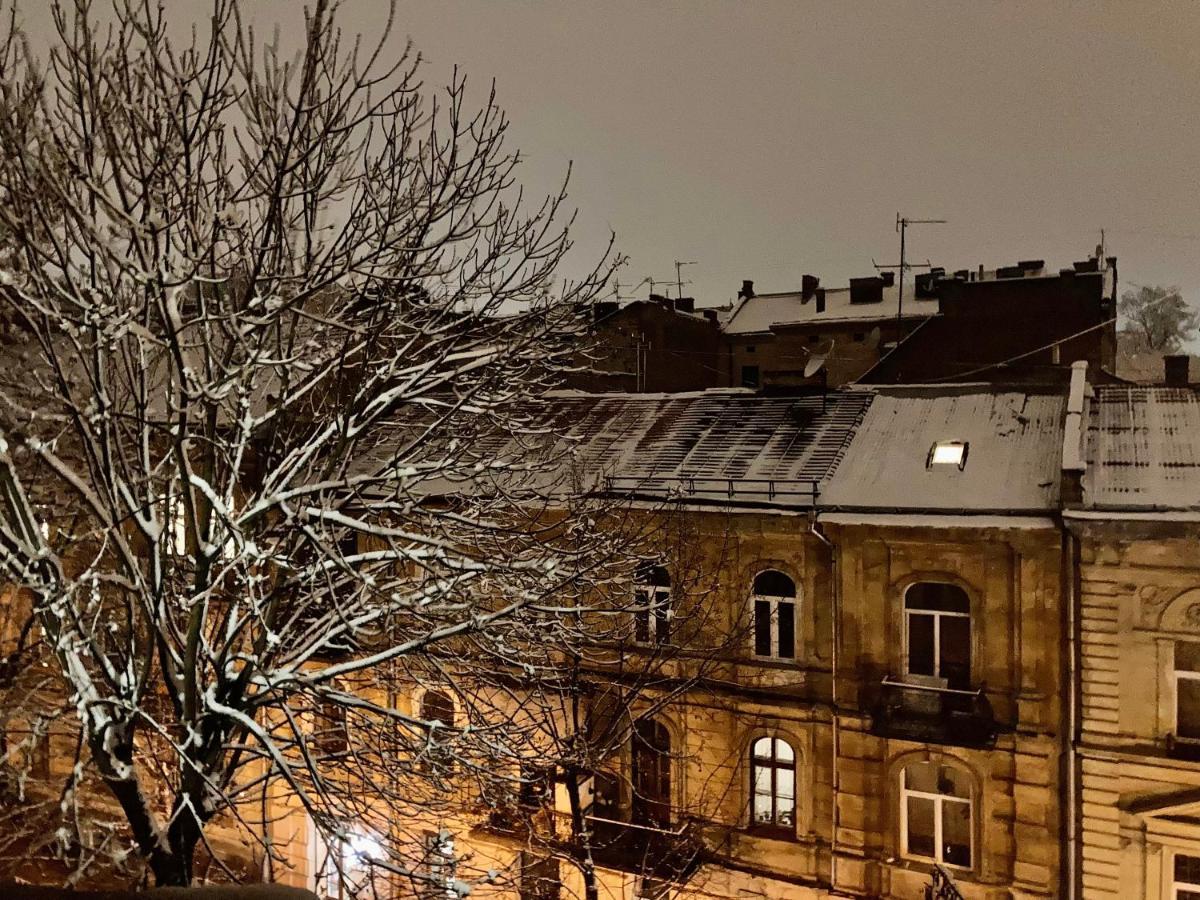 Valentine Apartment Lviv Dış mekan fotoğraf