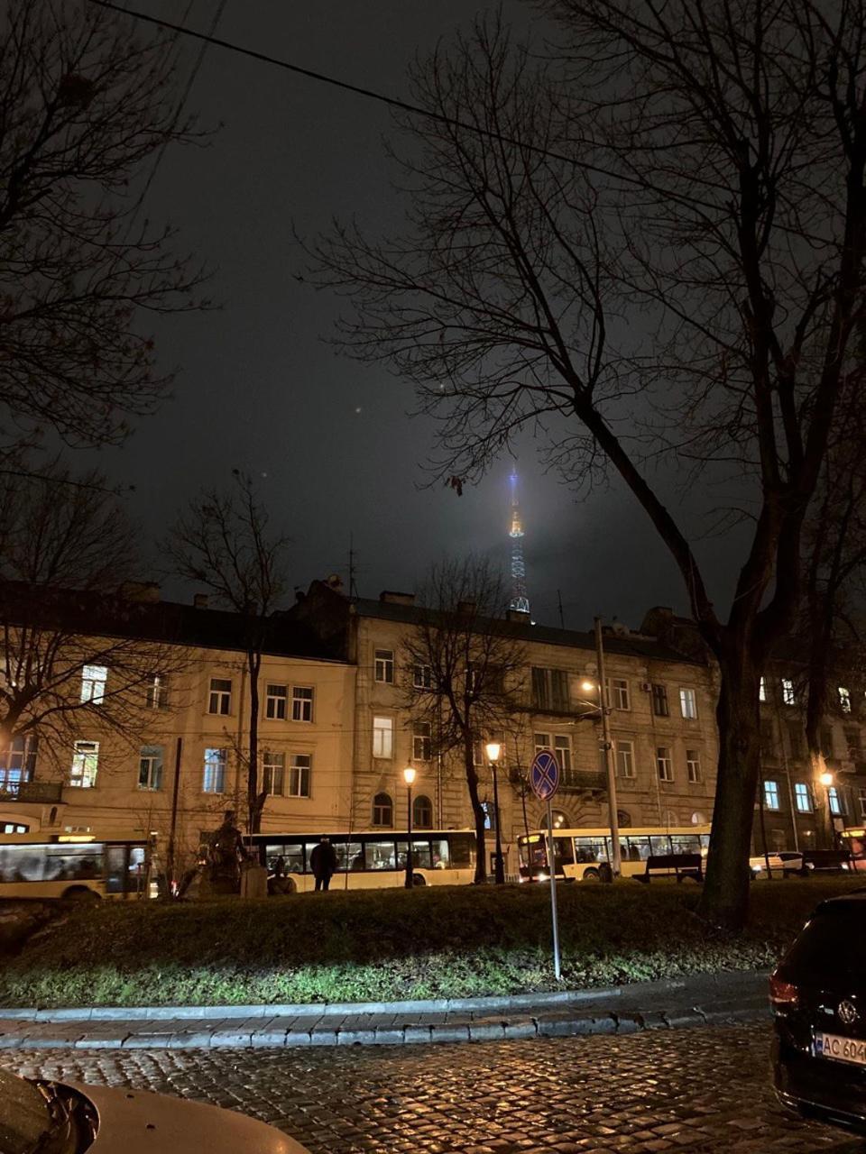 Valentine Apartment Lviv Dış mekan fotoğraf