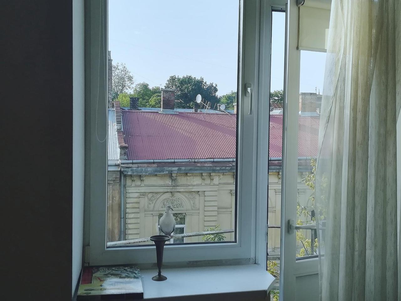 Valentine Apartment Lviv Dış mekan fotoğraf